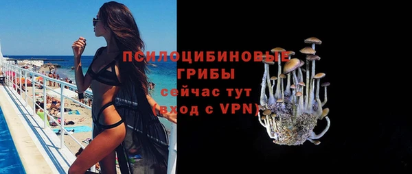 стаф Алексеевка