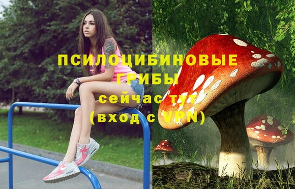стаф Алексеевка