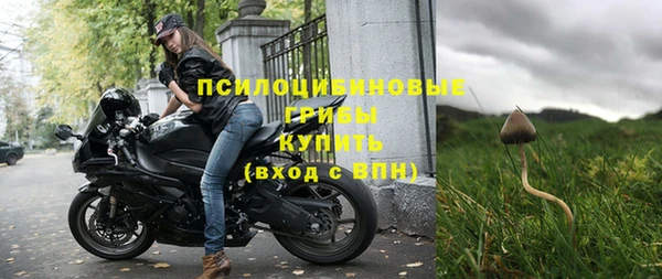 молекула духа Алексин